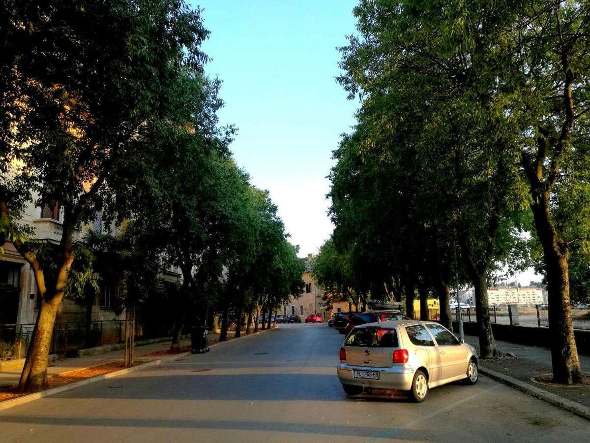 App Obrovac In The Centre - With Amazing Sea View! Διαμέρισμα Πούλα Εξωτερικό φωτογραφία
